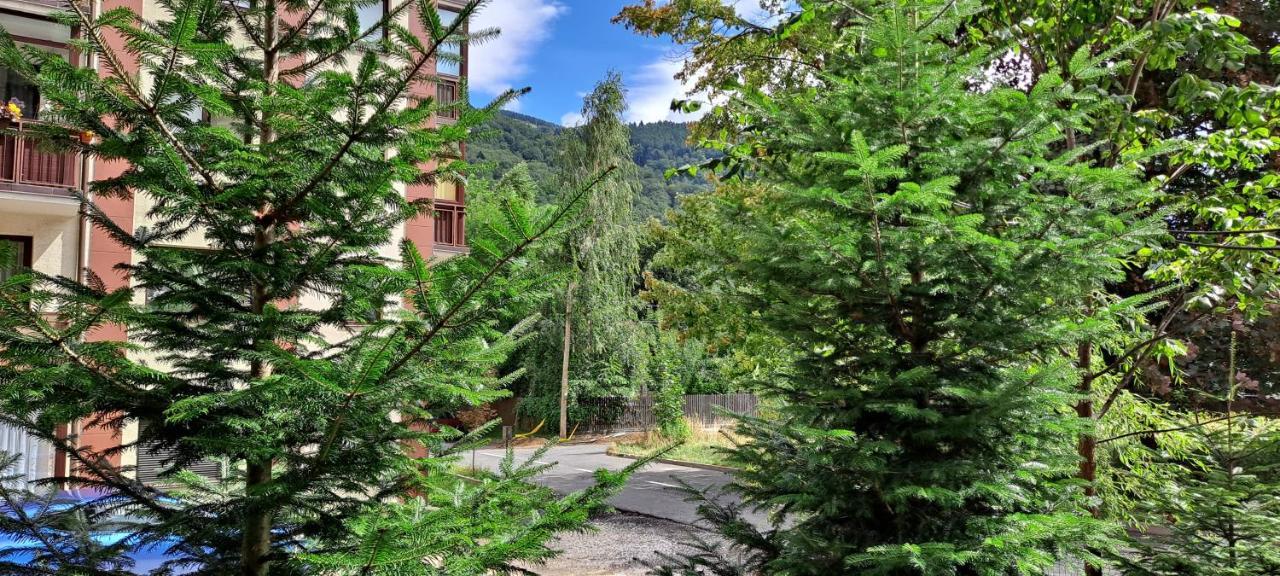 Sinaia Relax Residence Exterior photo